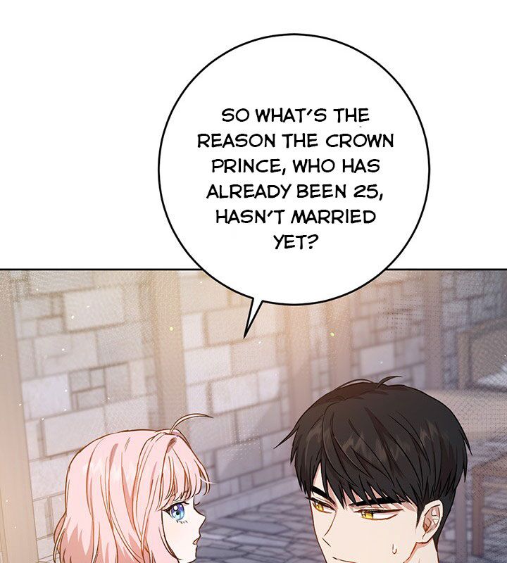 The Princess’s Double Life Chapter 17 429 077