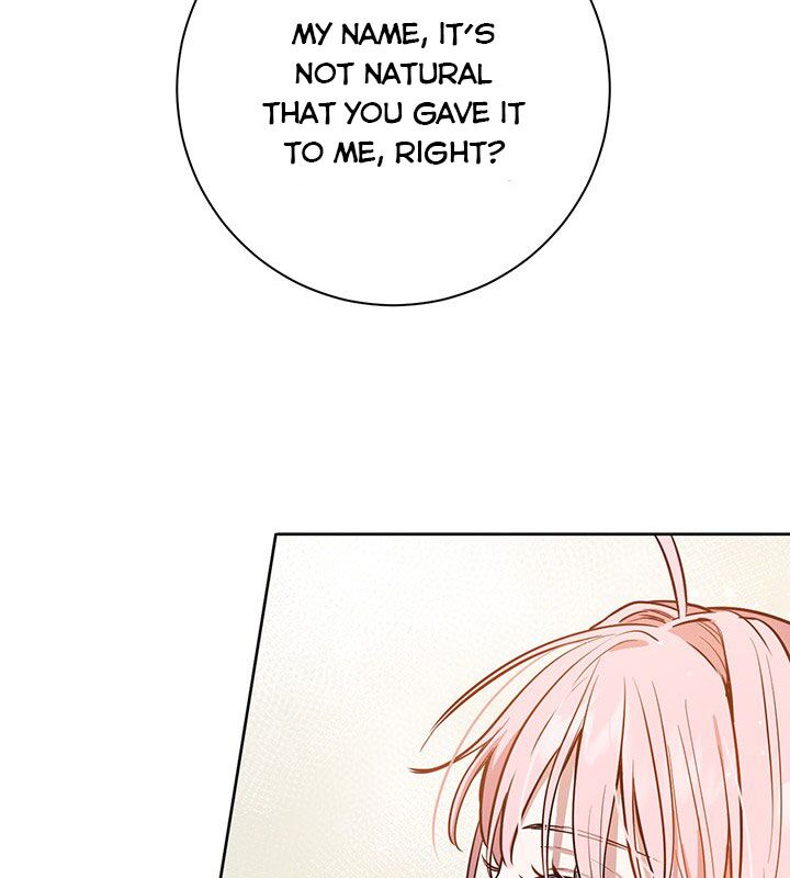 The Princess’s Double Life Chapter 17 437 085