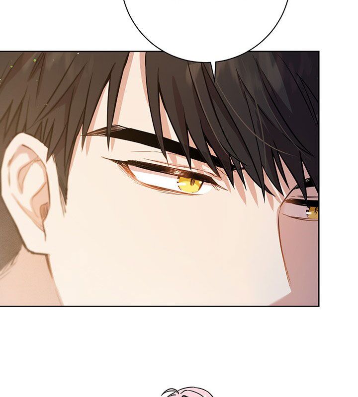 The Princess’s Double Life Chapter 17 443 091