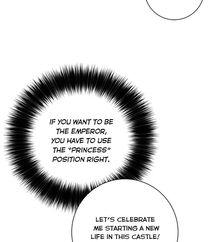 The Princess’s Double Life Chapter 17 447 095