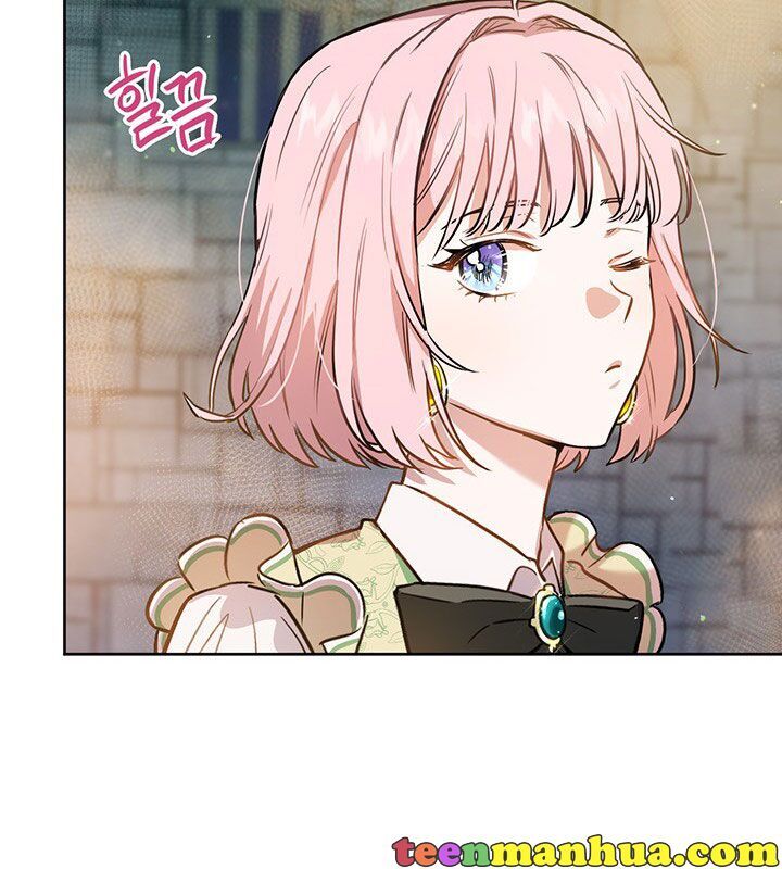 The Princess’s Double Life Chapter 17 460 108