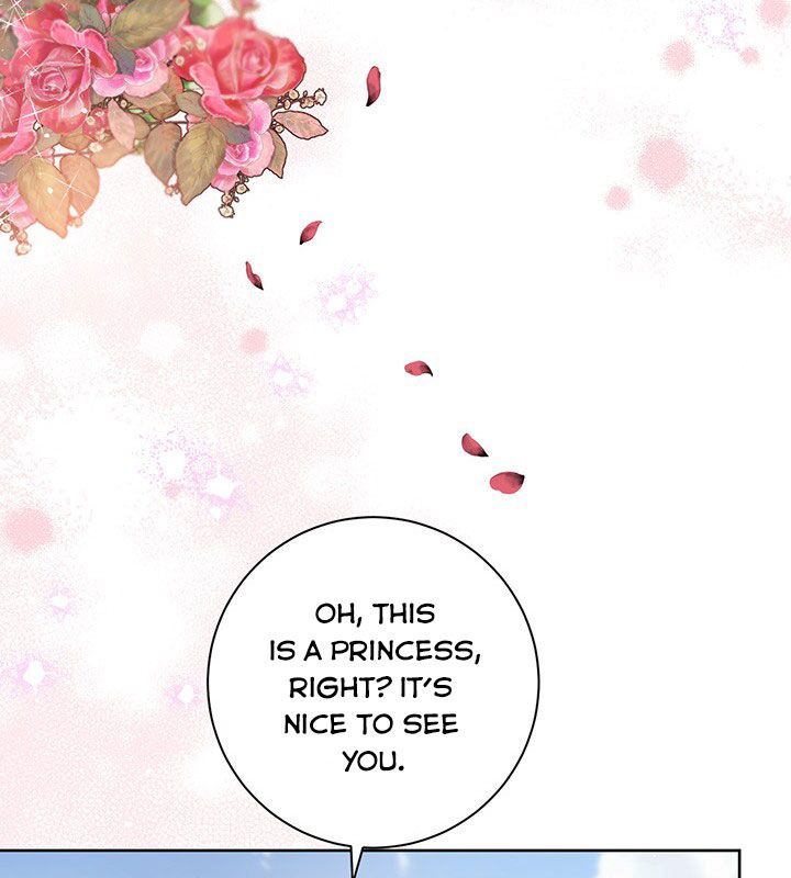 The Princess’s Double Life Chapter 19 383 016