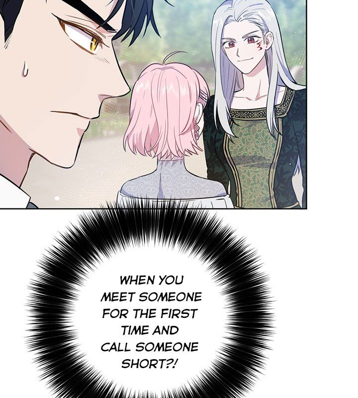 The Princess’s Double Life Chapter 19 423 056