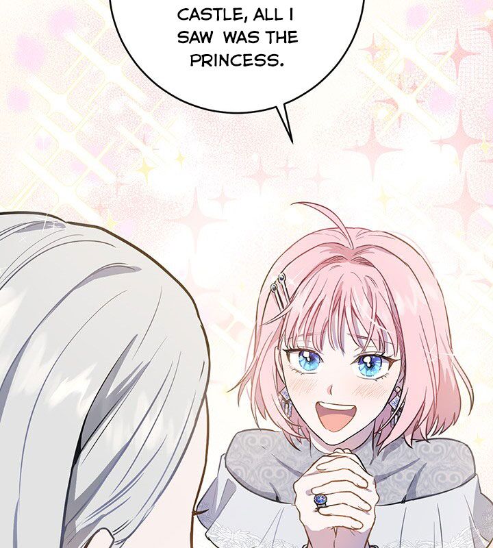 The Princess’s Double Life Chapter 19 427 060