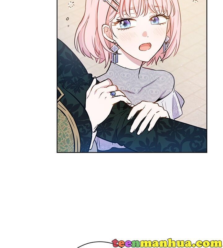 The Princess’s Double Life Chapter 19 451 084