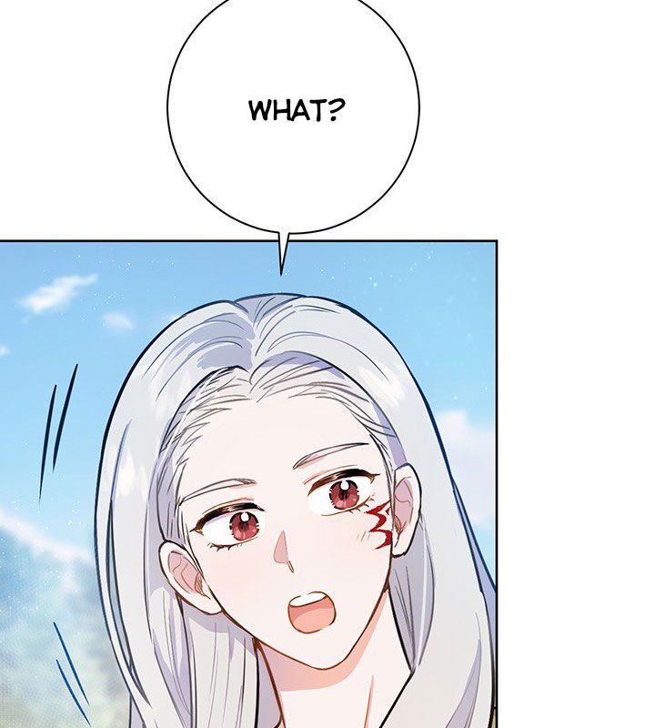 The Princess’s Double Life Chapter 19 452 085