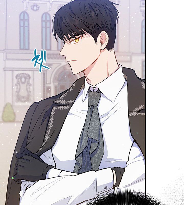 The Princess’s Double Life Chapter 19 466 099