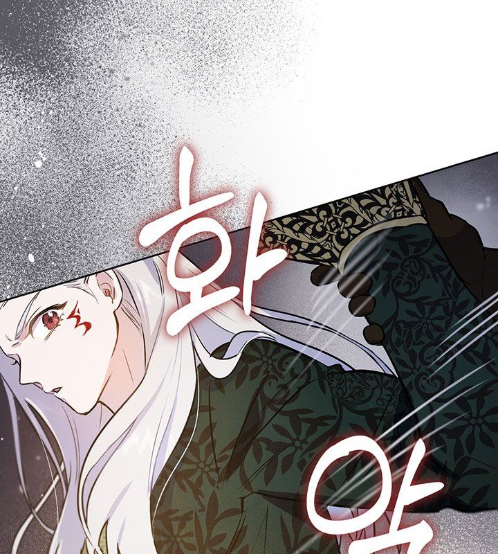 The Princess’s Double Life Chapter 19 469 102