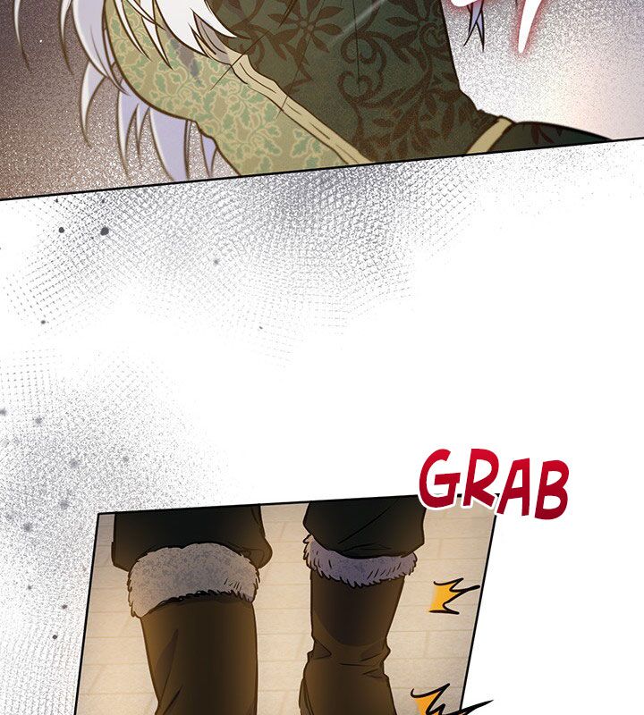 The Princess’s Double Life Chapter 19 470 103