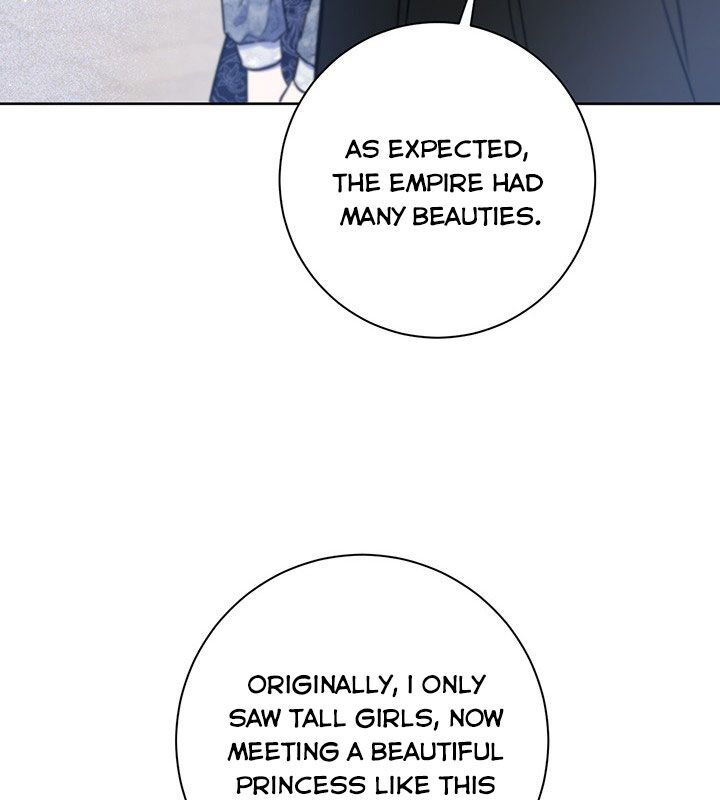 The Princess’s Double Life Chapter 19 481 114