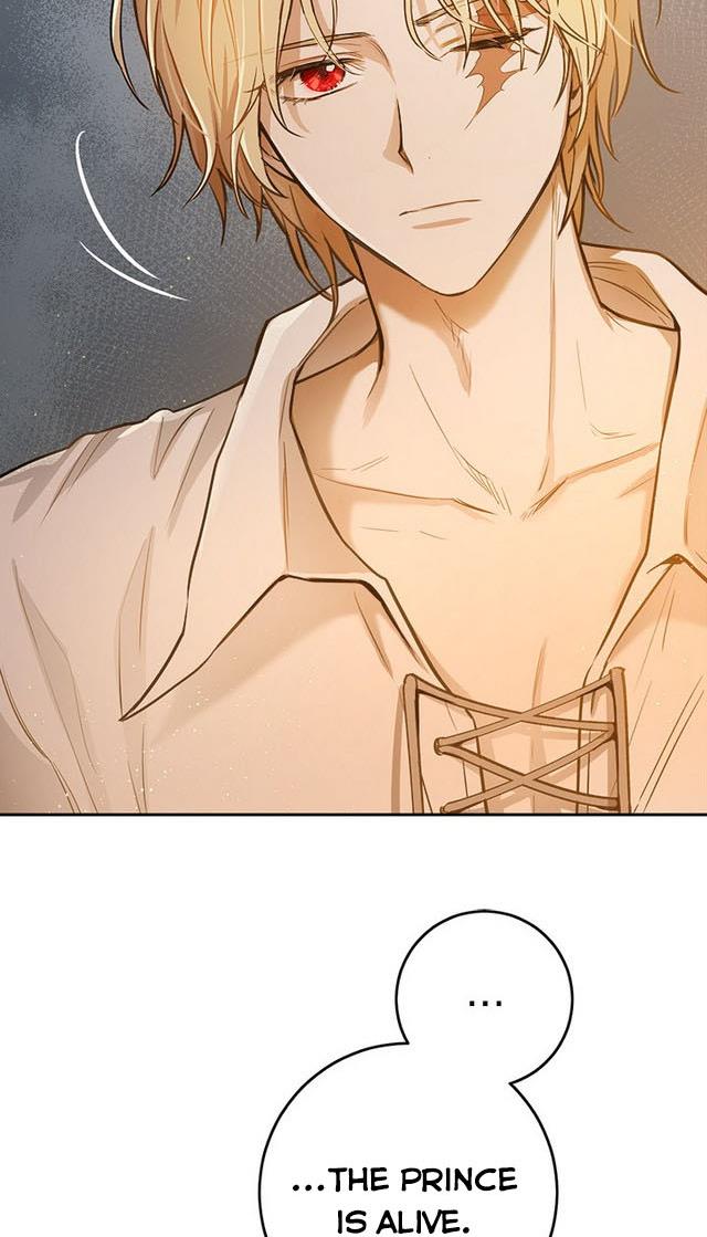 The Princess’s Double Life Chapter 25 245 028