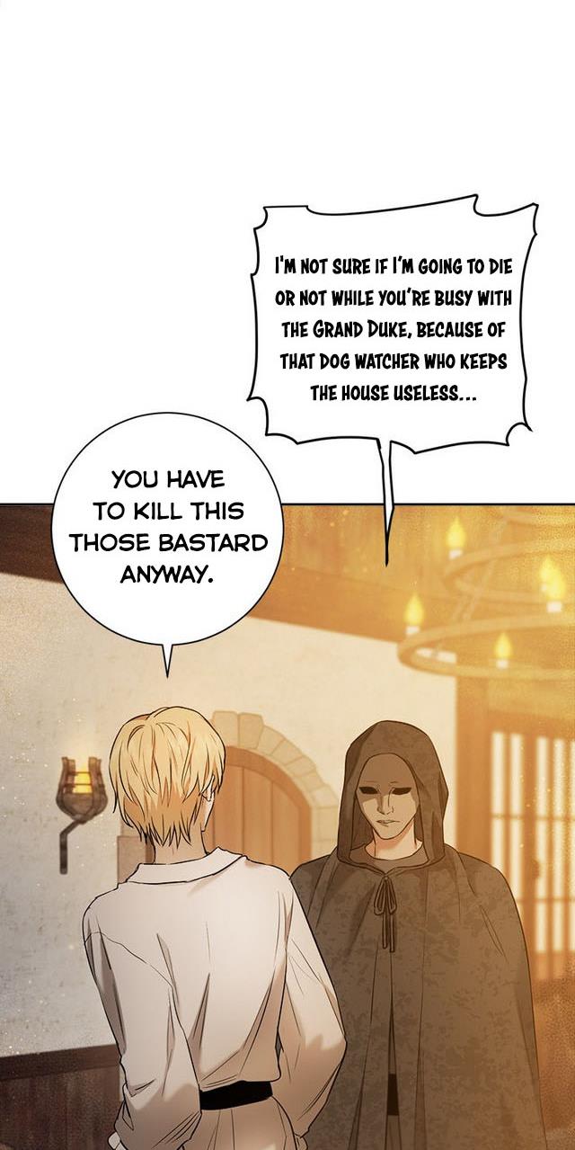 The Princess’s Double Life Chapter 25 275 058