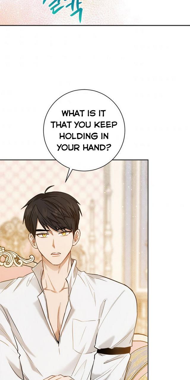 The Princess’s Double Life Chapter 25 283 066