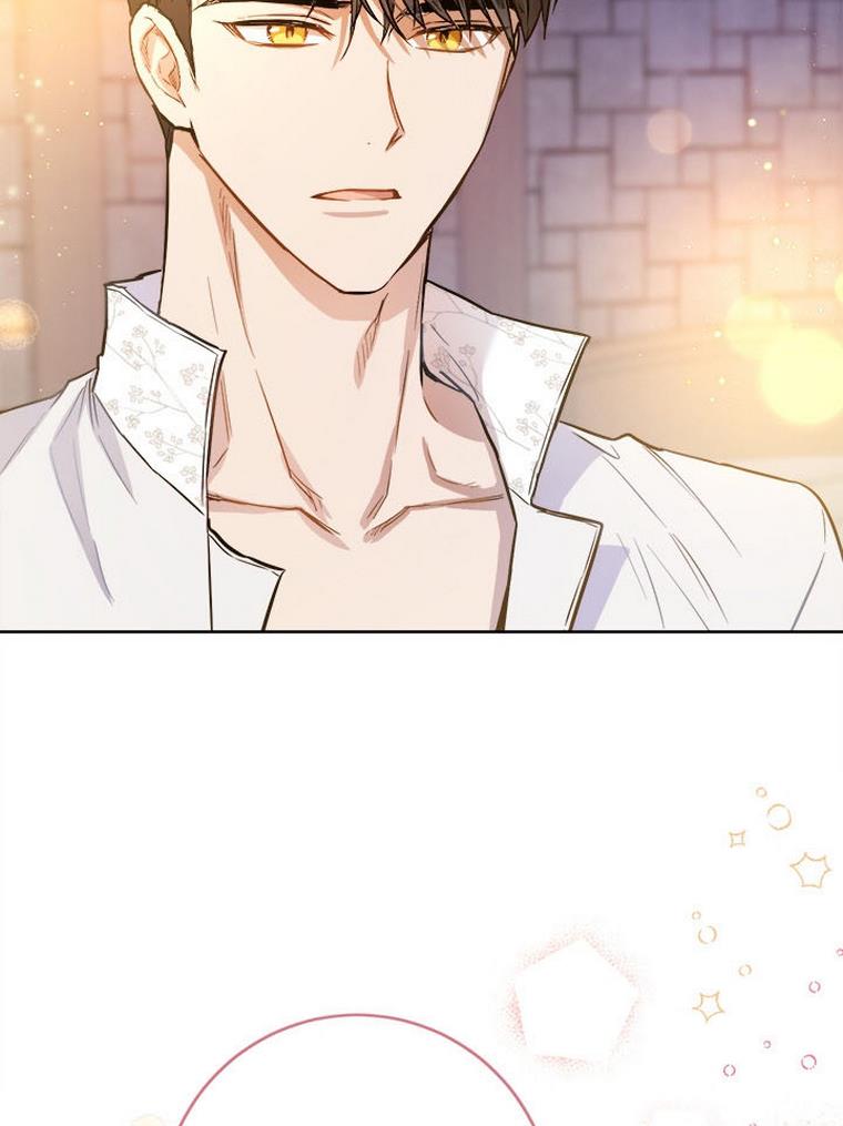 The Princess’s Double Life Chapter 32 295 012