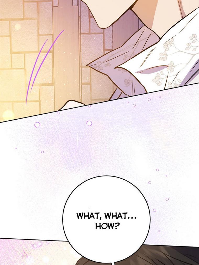 The Princess’s Double Life Chapter 32 323 040