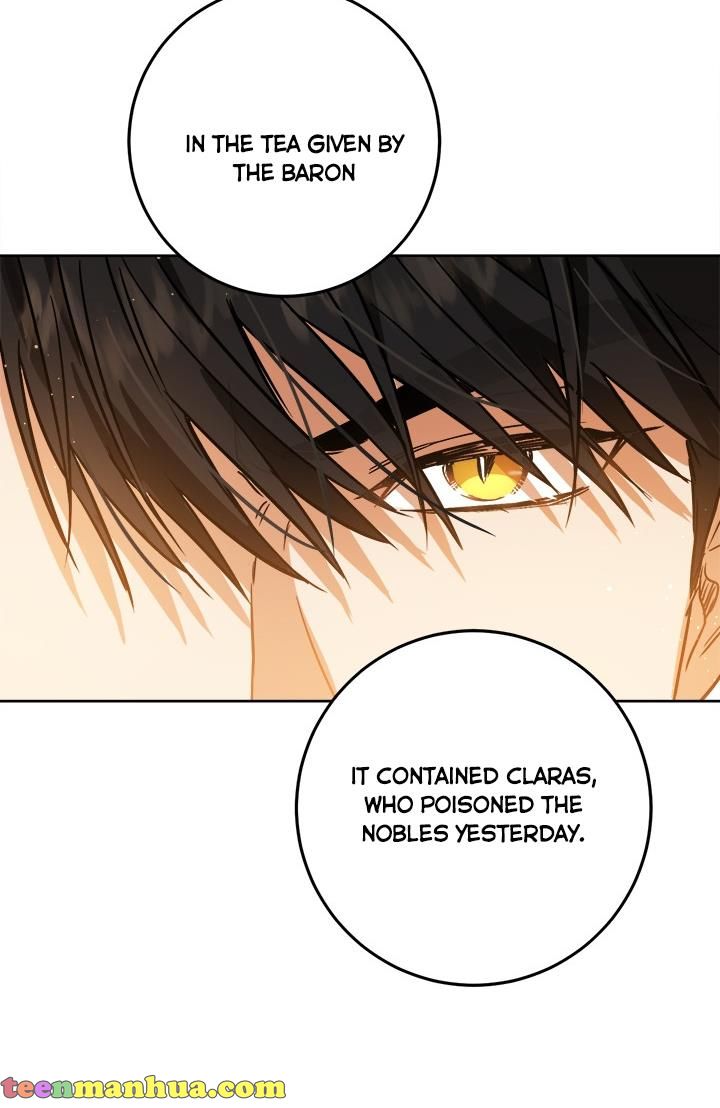 The Princess’s Double Life Chapter 34 319 045