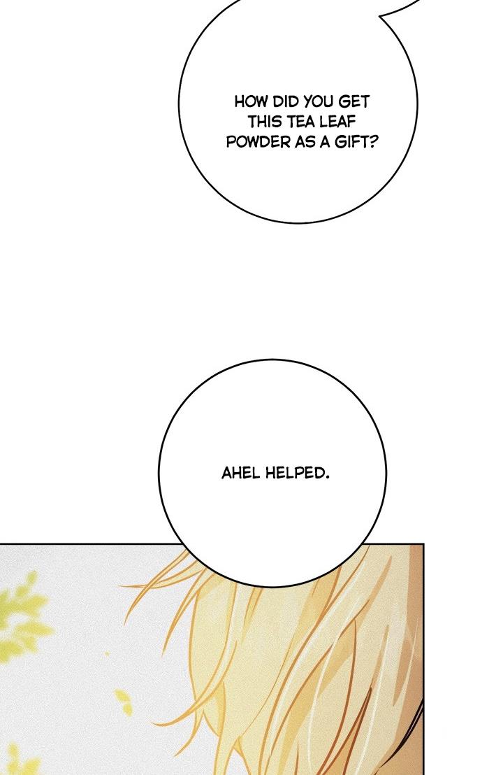 The Princess’s Double Life Chapter 34 329 055