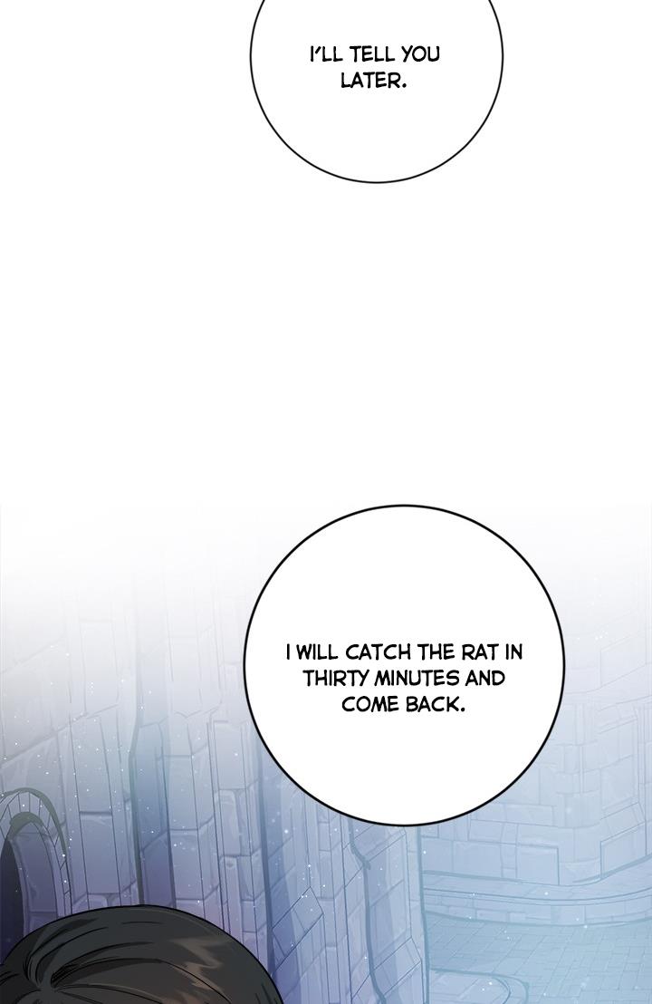 The Princess’s Double Life Chapter 34 350 076