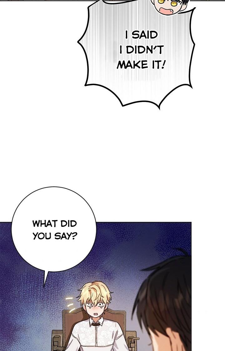 The Princess’s Double Life Chapter 36 311 007