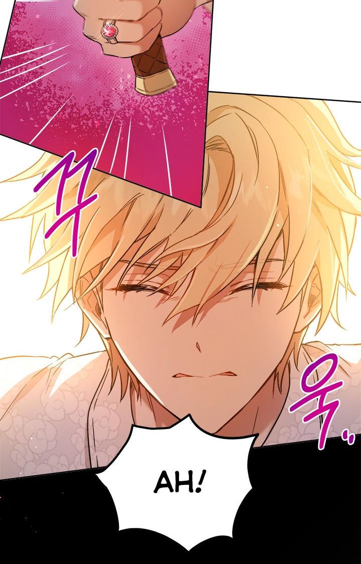 The Princess’s Double Life Chapter 36 332 028