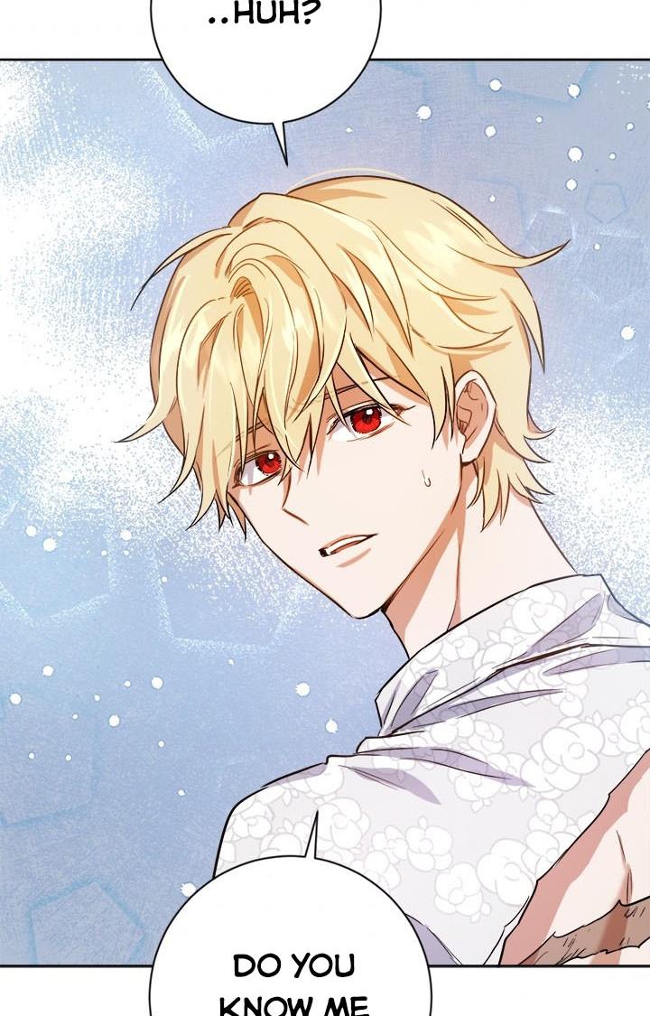 The Princess’s Double Life Chapter 36 339 035