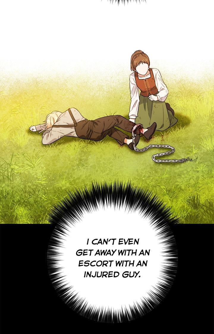 The Princess’s Double Life Chapter 36 370 066