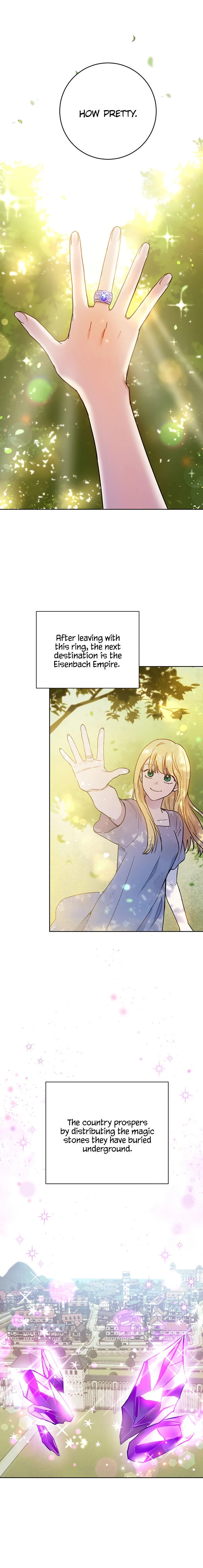 The Princess’s Double Life Chapter 4 84 002