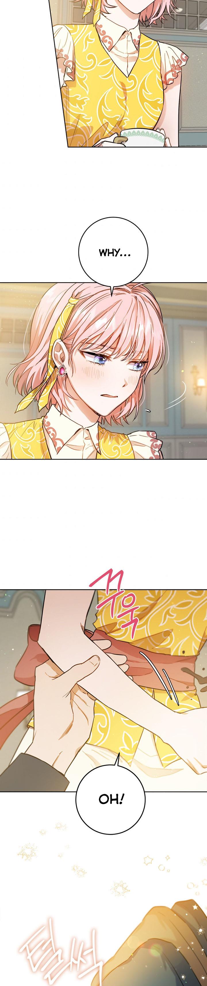 The Princess’s Double Life Chapter 41 62 013