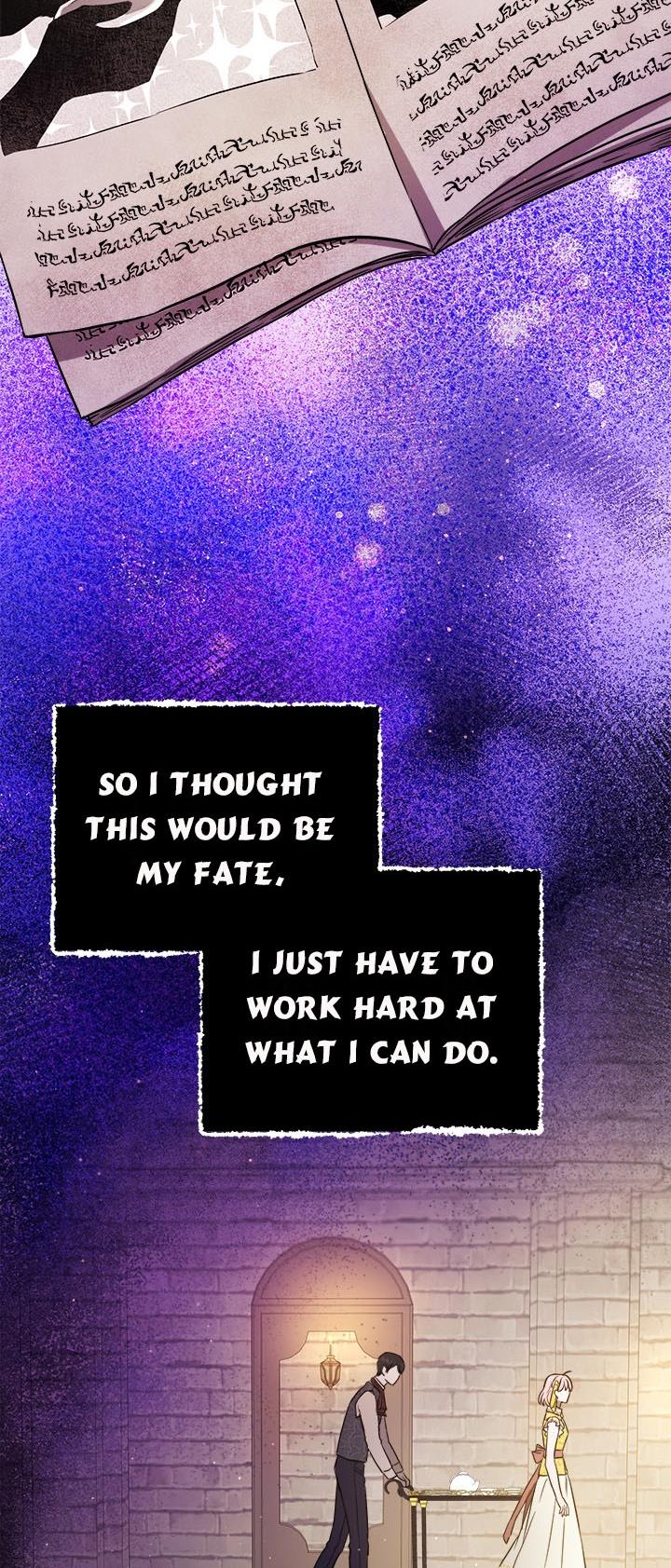 The Princess’s Double Life Chapter 42 242 055