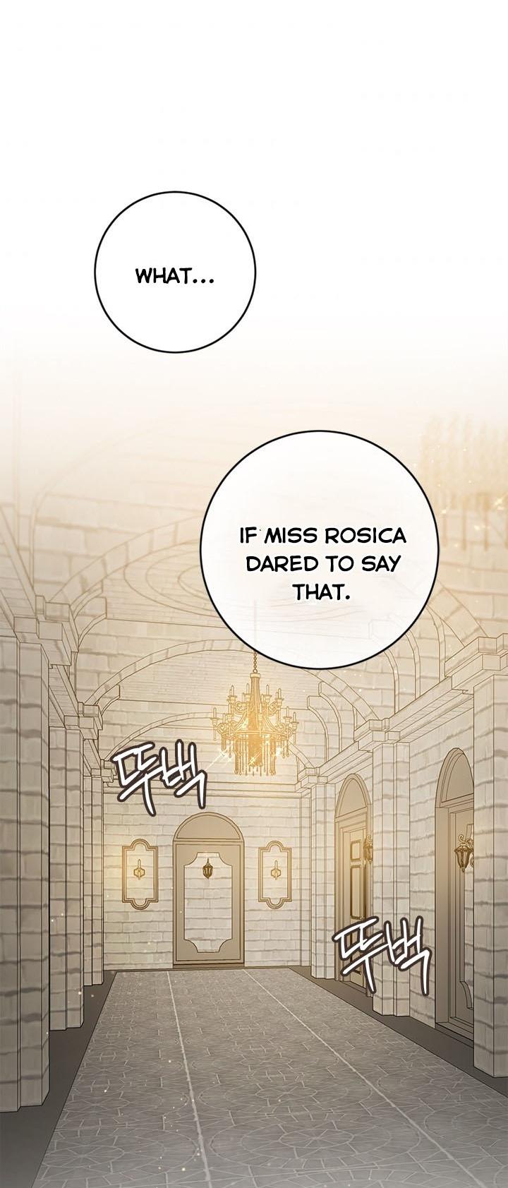 The Princess’s Double Life Chapter 42 246 059