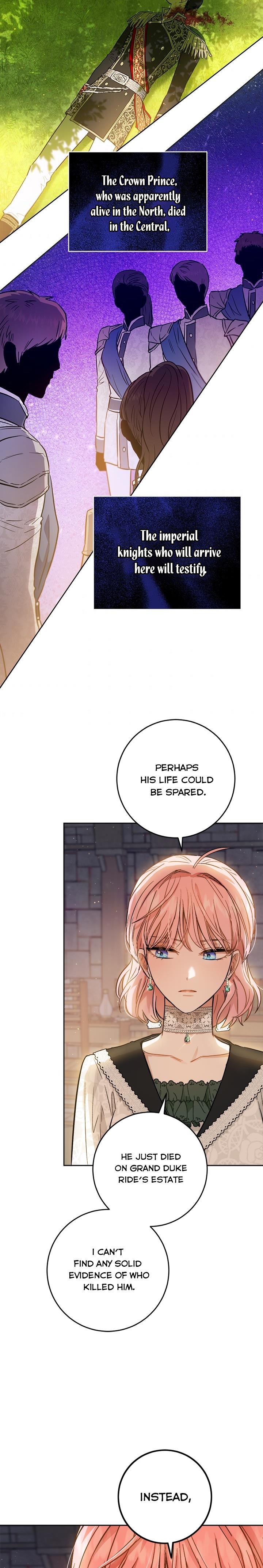 The Princess’s Double Life Chapter 45 77 016