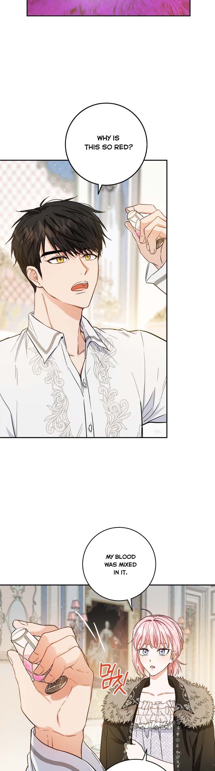 The Princess’s Double Life Chapter 49.5 66 1