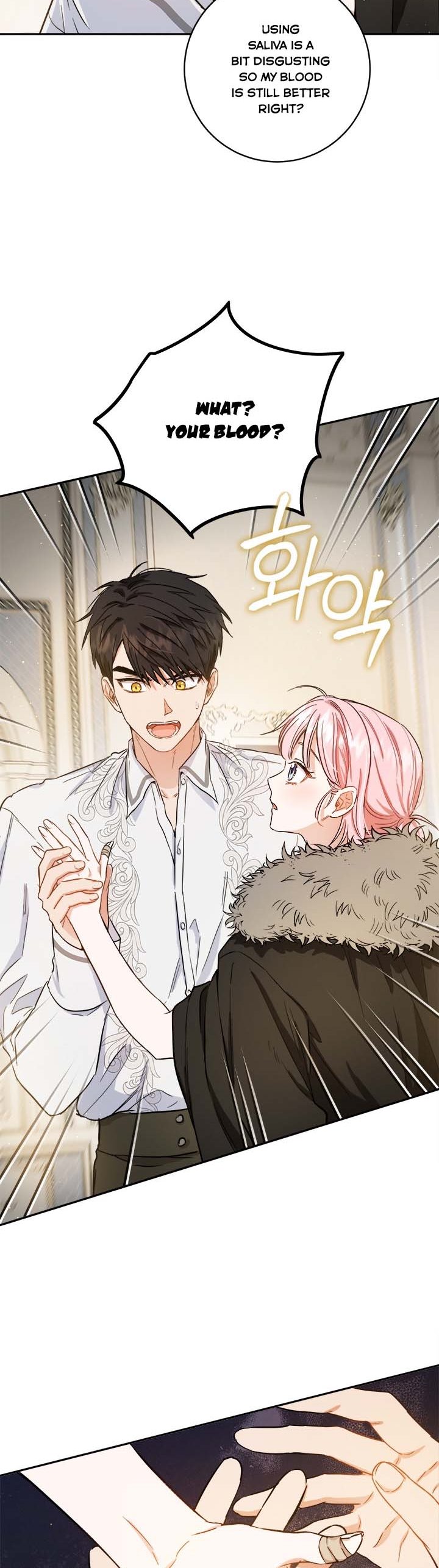 The Princess’s Double Life Chapter 49.5 67 2