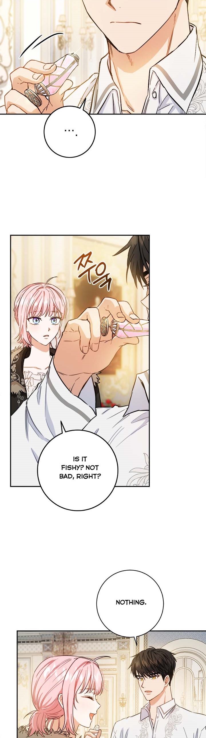 The Princess’s Double Life Chapter 49.5 71 6