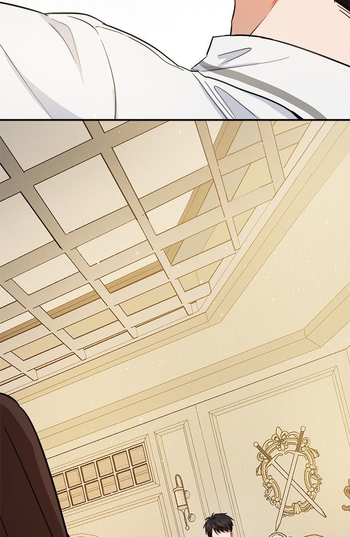 The Princess’s Double Life Chapter 50.5 92 18