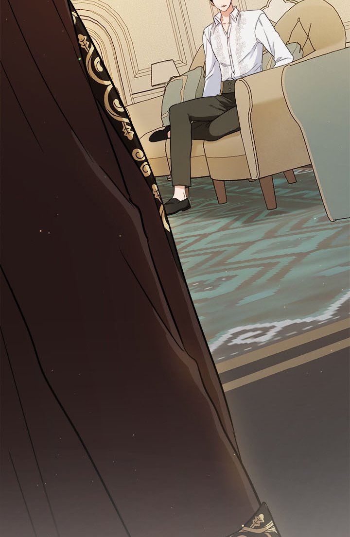 The Princess’s Double Life Chapter 50.5 93 19