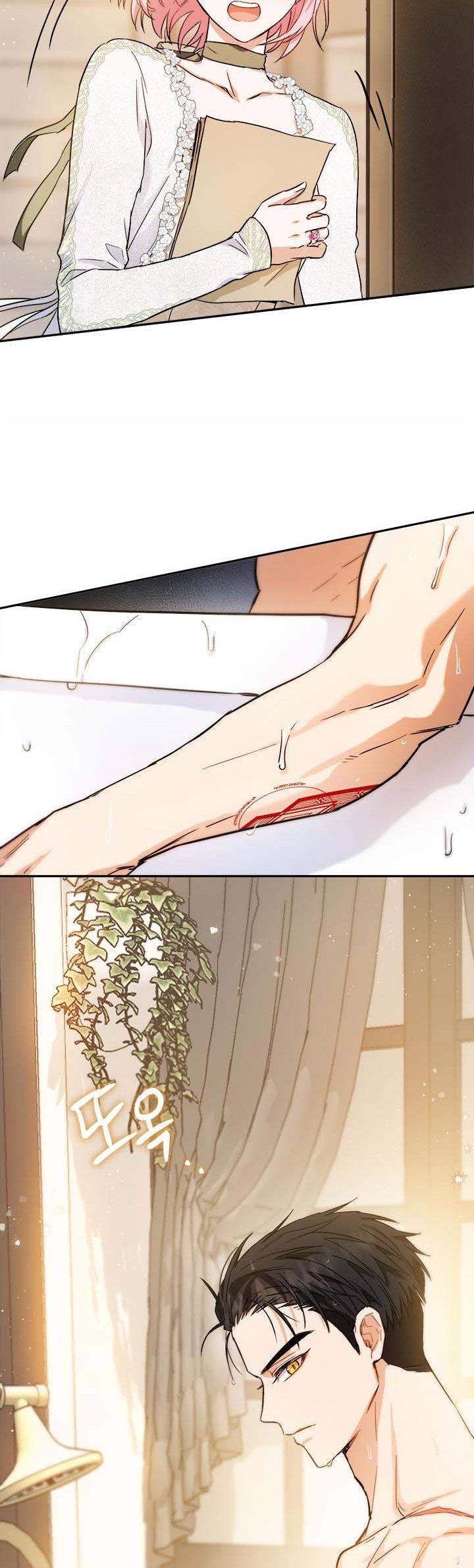 The Princess’s Double Life Chapter 52.5 66 13