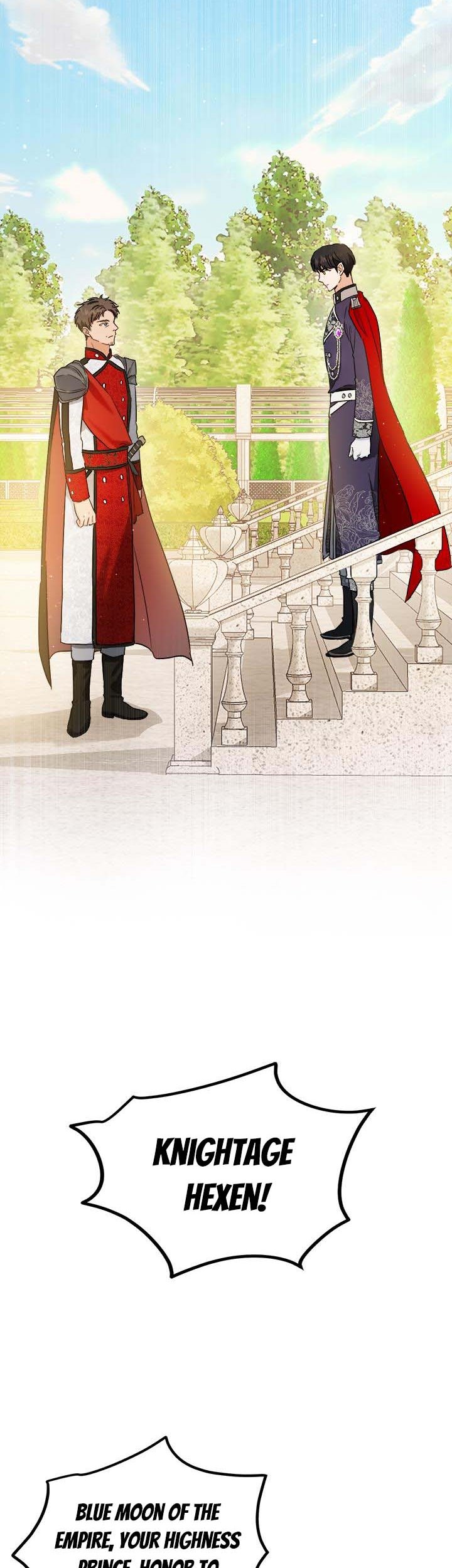 The Princess’s Double Life Chapter 52 74 3