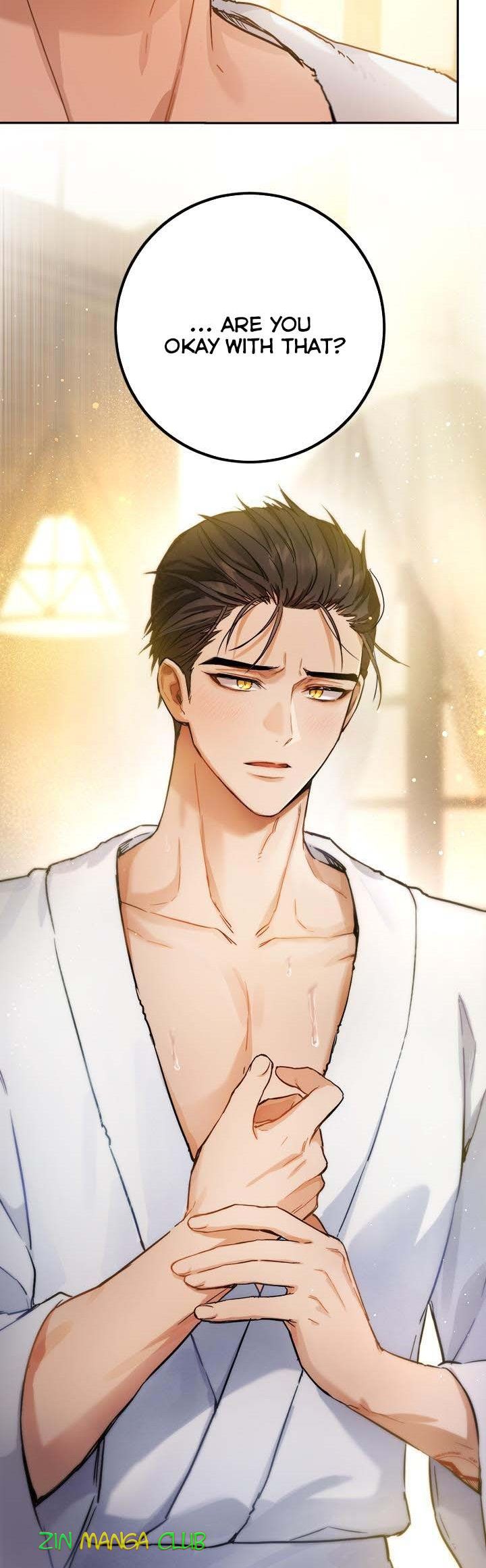 The Princess’s Double Life Chapter 53.5 54 10