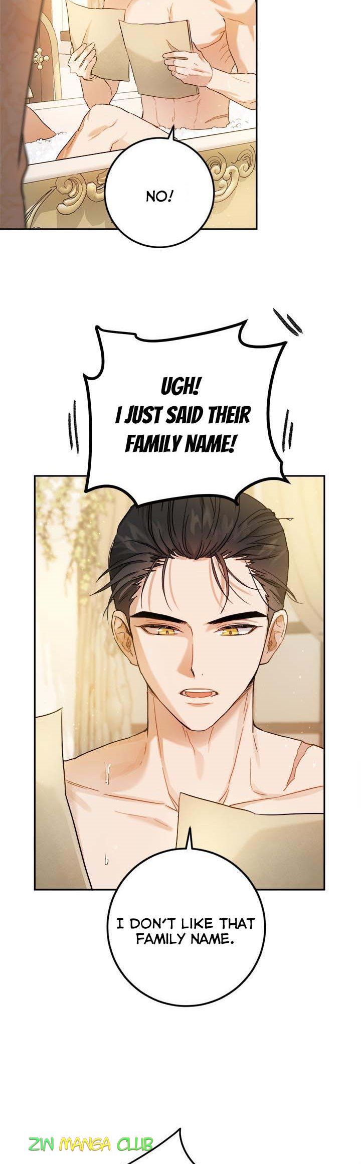 The Princess’s Double Life Chapter 53 94 20