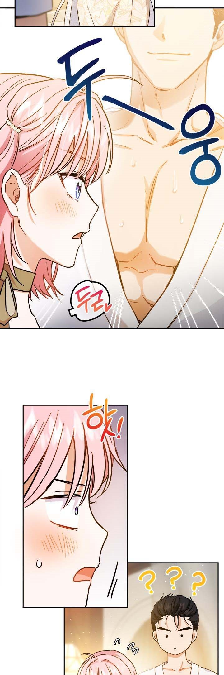 The Princess’s Double Life Chapter 54.5 66 011