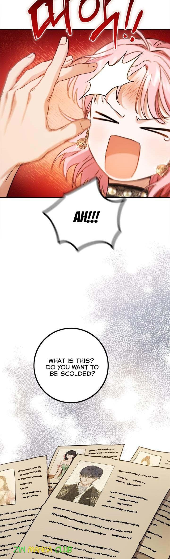 The Princess’s Double Life Chapter 55.5 55 003