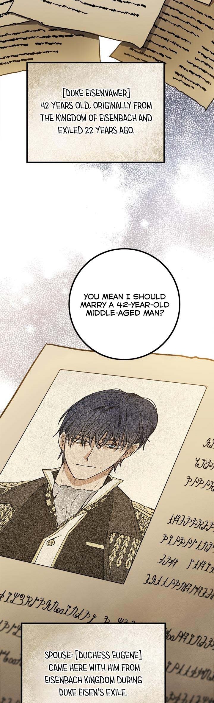 The Princess’s Double Life Chapter 55.5 56 004