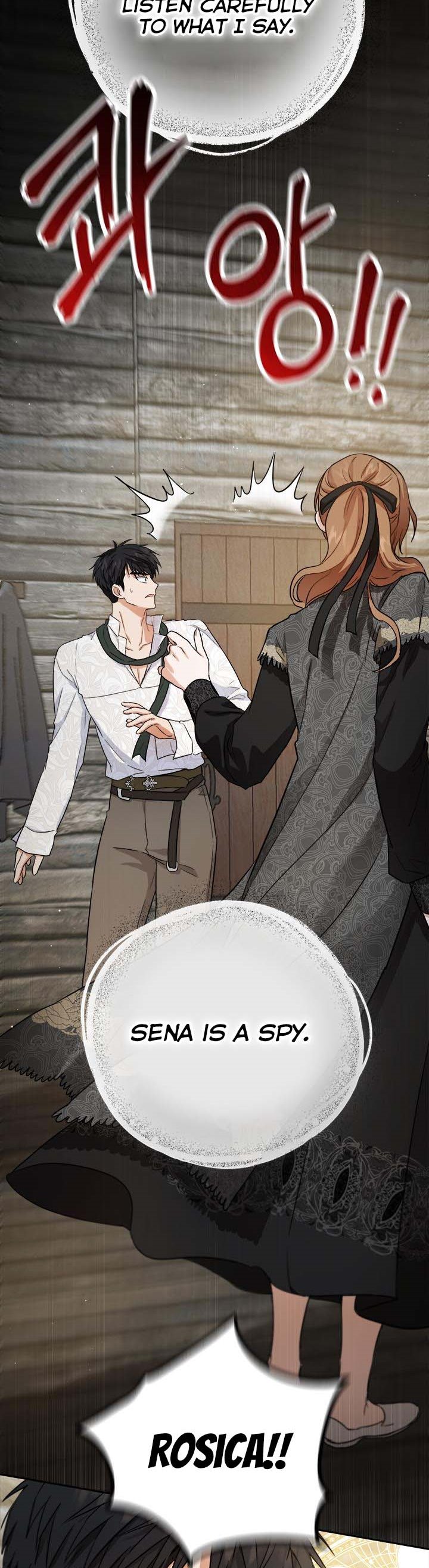 The Princess’s Double Life Chapter 57 85 11