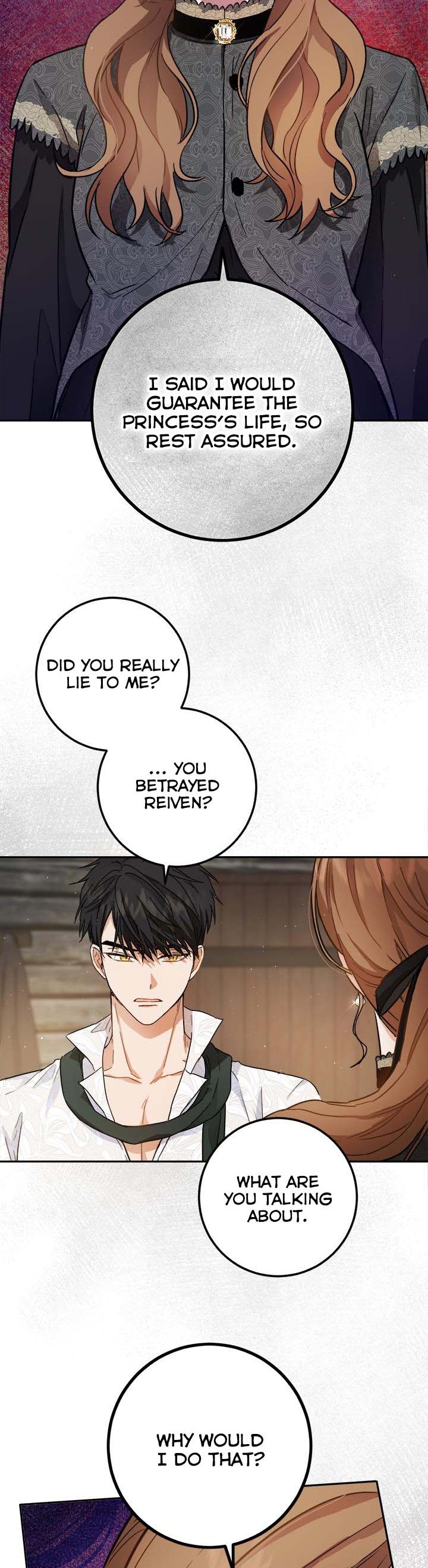 The Princess’s Double Life Chapter 57 87 13