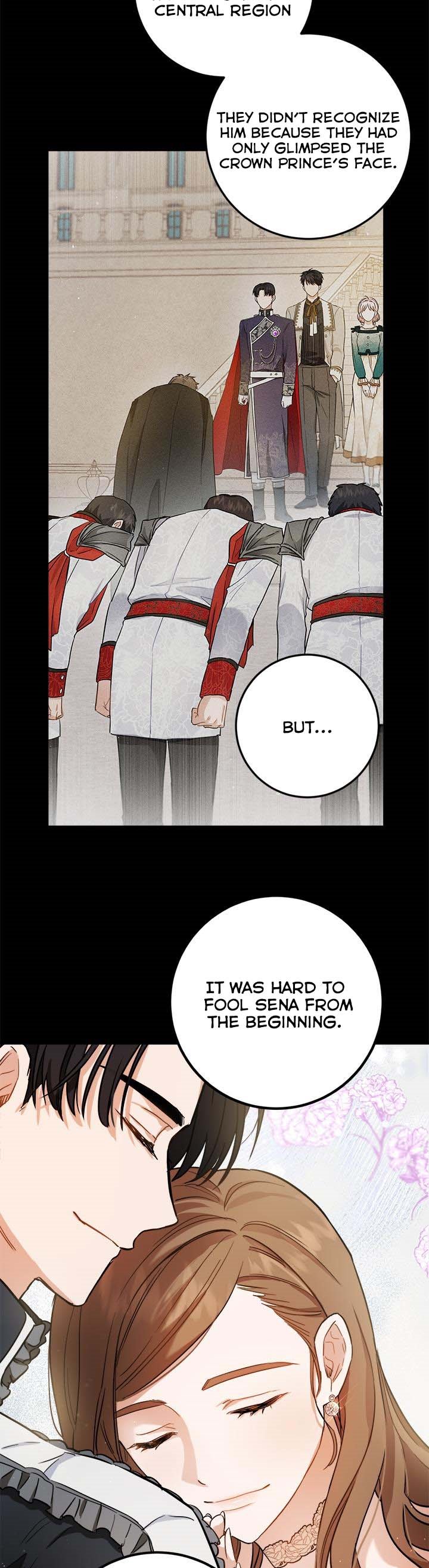 The Princess’s Double Life Chapter 57 91 17