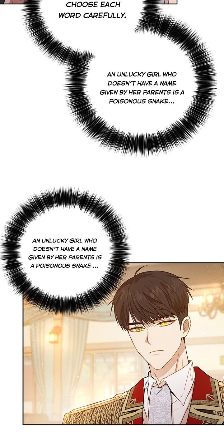 The Princess’s Double Life Chapter 6 215 028