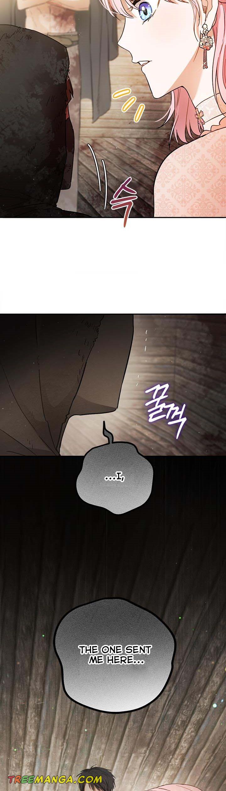 The Princess’s Double Life Chapter 60 126 28