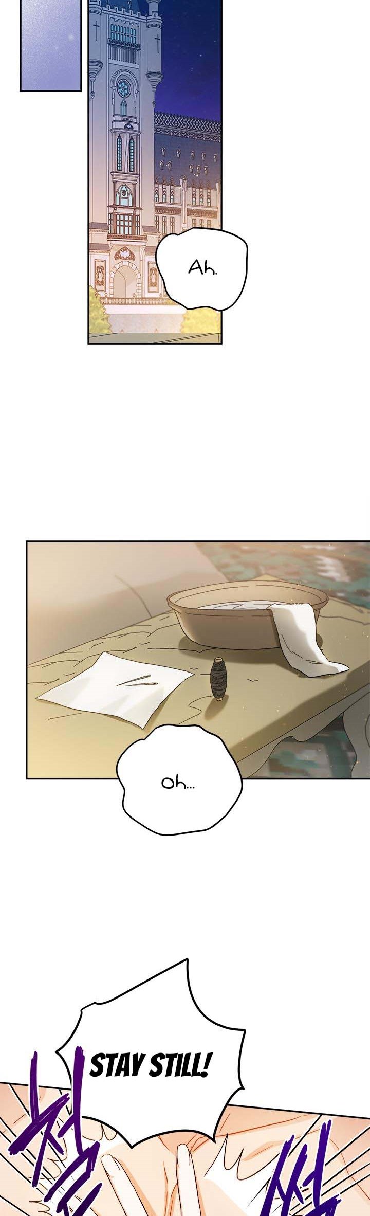 The Princess’s Double Life Chapter 61.5 79 11