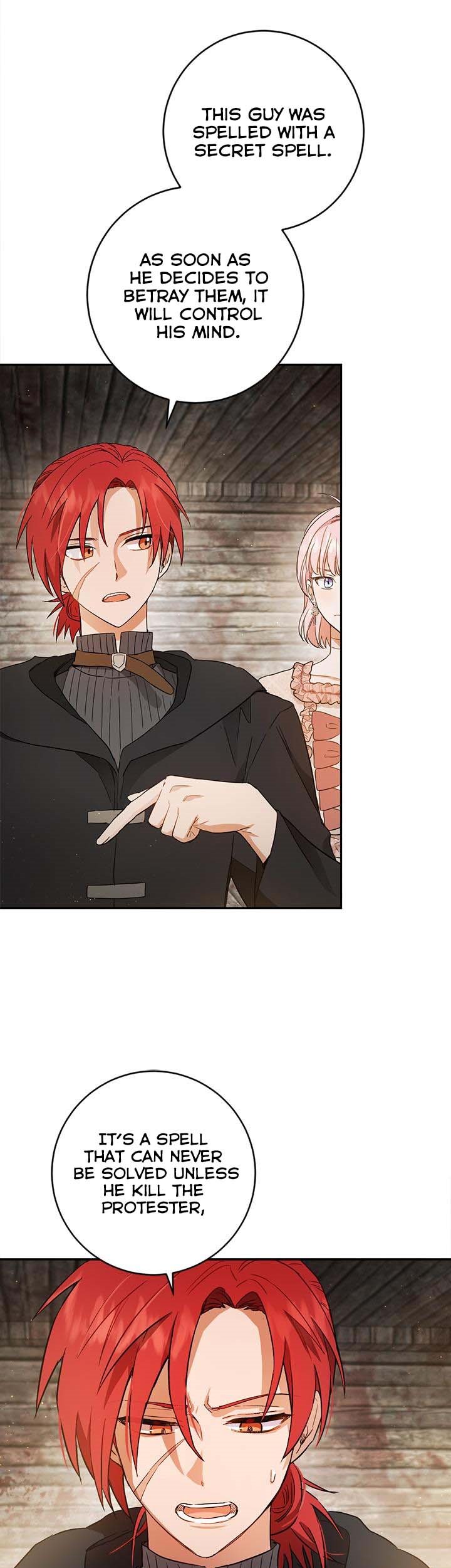 The Princess’s Double Life Chapter 61 64 8